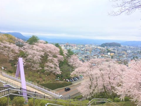 春烂漫!福井县赏樱景点8选
