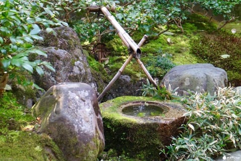 専門誌でランクインした通好みの日本庭園!京都御所のお隣・京都平安ホテルの庭を訪ねて