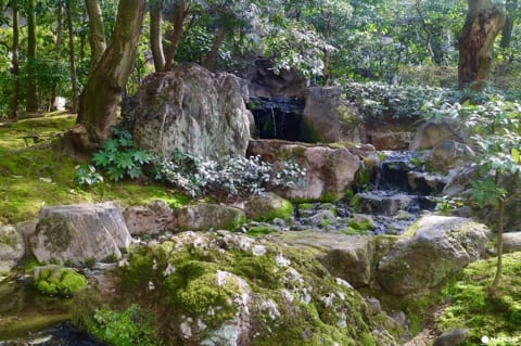 専門誌でランクインした通好みの日本庭園!京都御所のお隣・京都平安ホテルの庭を訪ねて