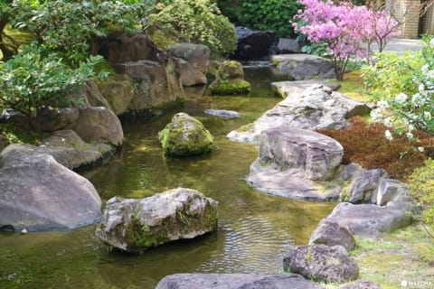専門誌でランクインした通好みの日本庭園!京都御所のお隣・京都平安ホテルの庭を訪ねて