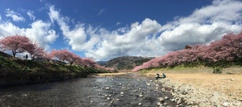 Shizuoka Prefecture - 9 Must Visit Spots In This Nature Rich Tokyo Neighbor!