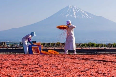 Shizuoka Prefecture - 9 Must Visit Spots In This Nature Rich Tokyo Neighbor!