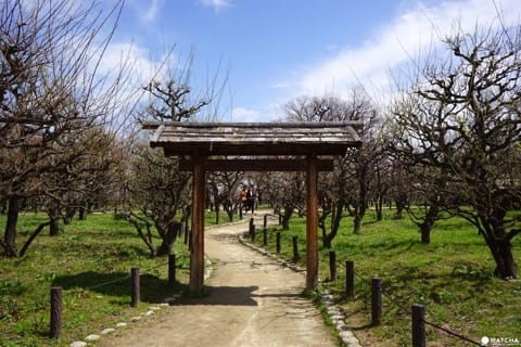 Osaka Castle Park