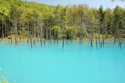 青池