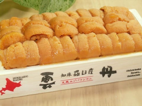 海胆
