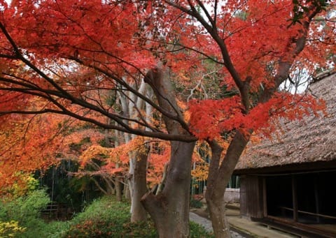 四國村