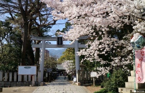 スケートファンもサッカーファンも参拝に訪れる神戸御影の弓弦羽神社