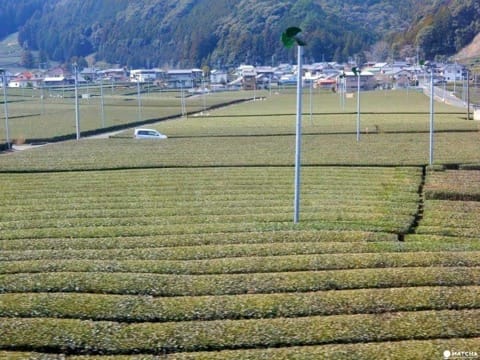 Shizuoka - 10 Must Visit Spots In This Nature Rich Tokyo Neighbor!