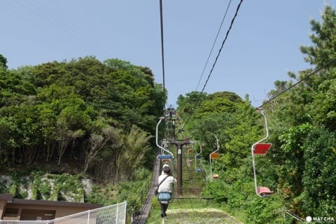 海豚島lift吊車