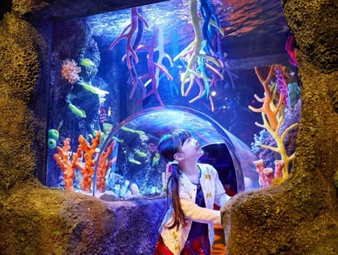樂高樂園Sea Life