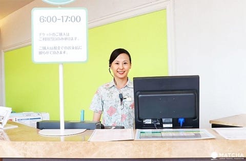 東京ディズニーリゾートを楽しみ尽くす!オススメのプランとホテル情報