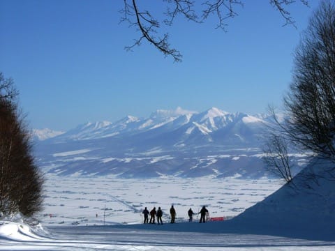季節によって違う景色が楽しめる、富良野・美瑛でやりたい8のこと