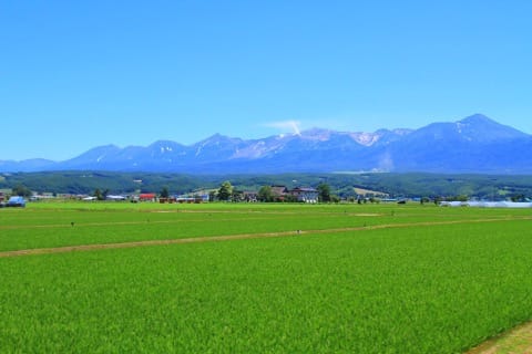 季節によって違う景色が楽しめる、富良野・美瑛でやりたい8のこと