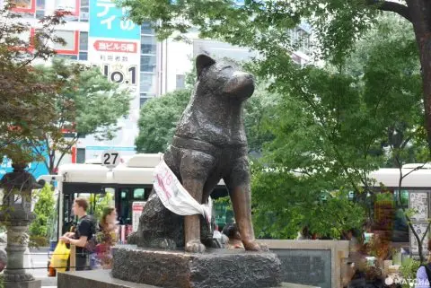 ハチ公