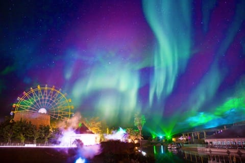 雷歐瑪夜景