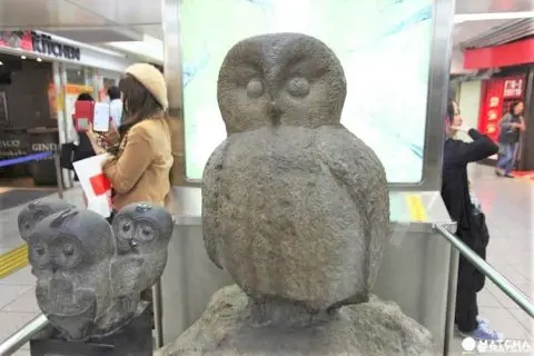 池袋ふくろう