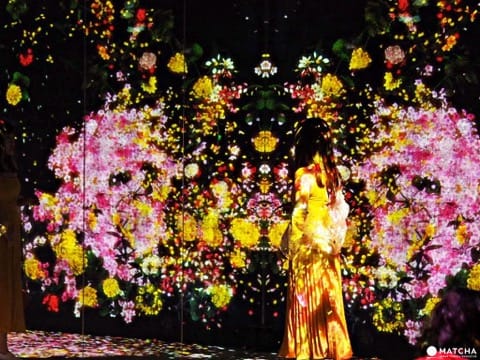flower forest