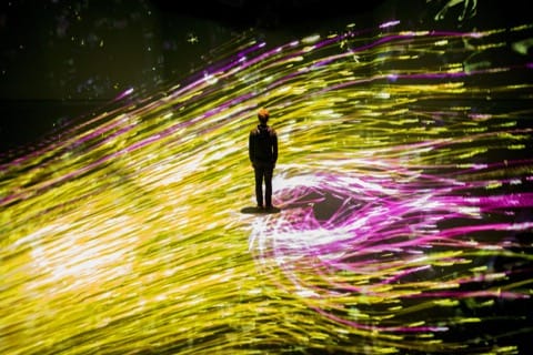 teamLAB