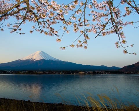 河口湖を訪れたらやるべき5つのこと