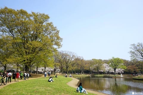 Yoyogi Park