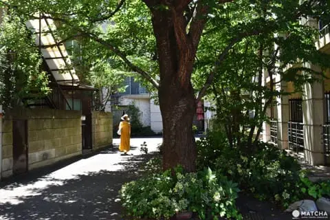 神楽阪