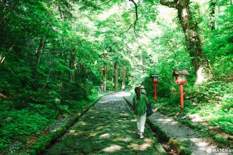 7月~8月におススメ!鸟取で纳凉の旅