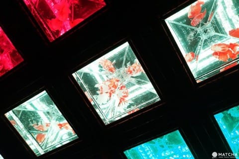 金魚藝術水族館日本橋2018天井金魚