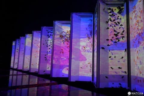 日本橋金魚藝術水族館屏風