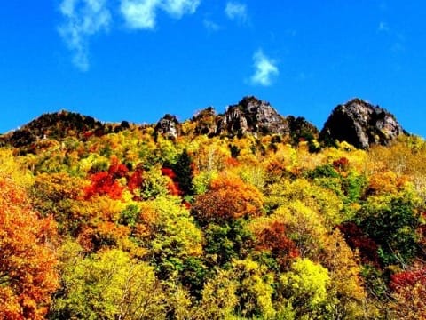 北海道