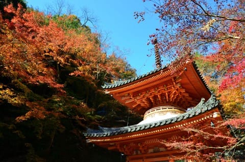 Ushitakiyama