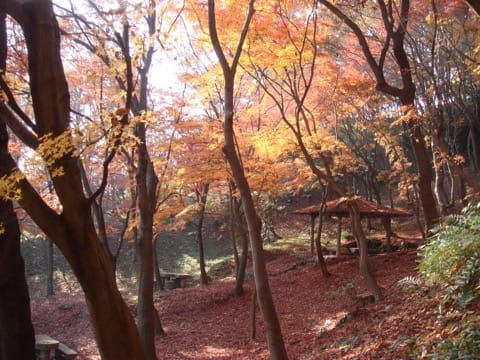Settsukyo Park