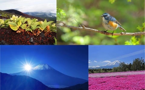 【保存版】富士登山完全ガイド〜準備から旅程まで〜