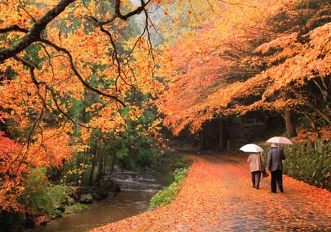 広島秋の紅葉