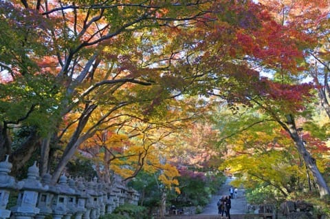 Osaka