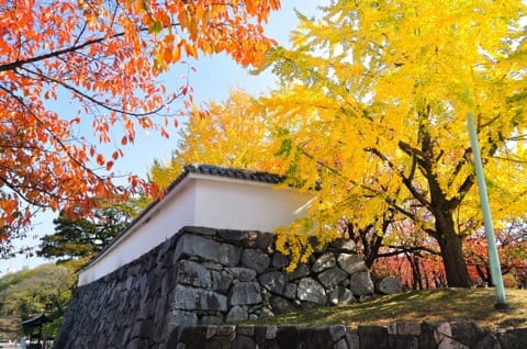 Fukuoka maizuru park