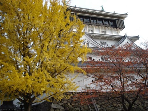 Fukuoka