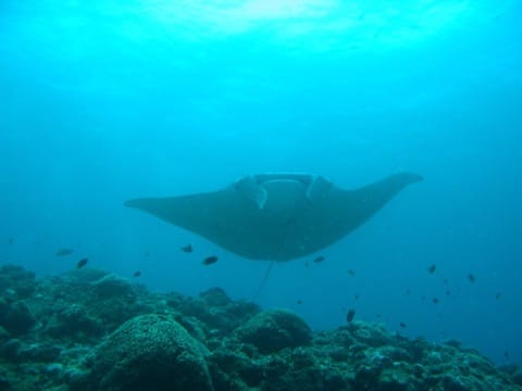 人気急上昇中の沖縄離島!石垣島でやりたい7個のこと