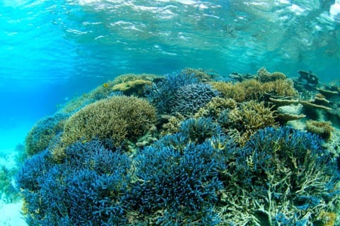 人気急上昇中の沖縄離島!石垣島でやりたい7個のこと