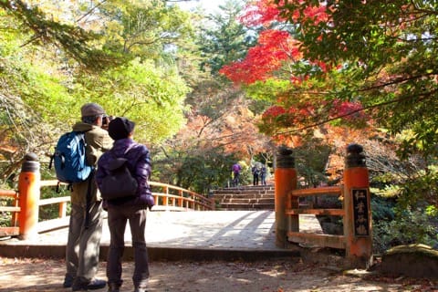 Momijidani Park