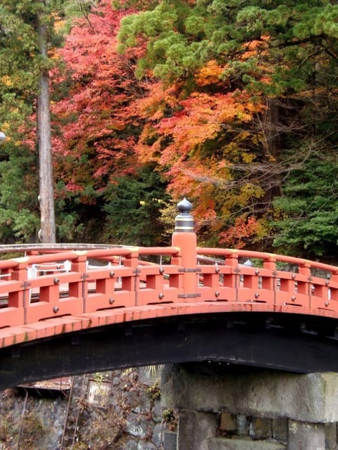 Nikko tosho-gu in fall