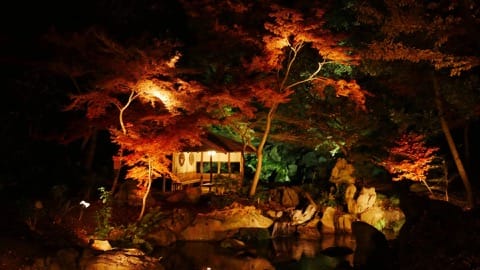 Rikugien in fall