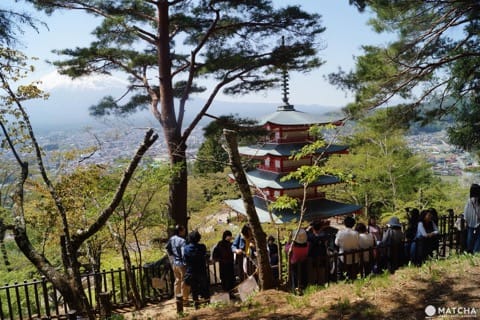 富士山・桜・五重塔が揃った“The Japan”な絶景スポット「忠霊塔」の楽しみ方