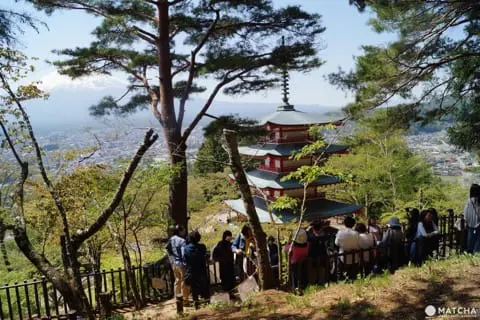 富士山(ふじさん) ・桜(さくら) ・五重塔(ごじゅうのとう) ぜんぶ 一緒