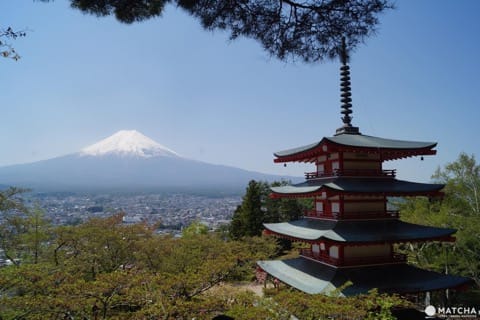 富士山・桜・五重塔が揃った“The Japan”な絶景スポット「忠霊塔」の楽しみ方