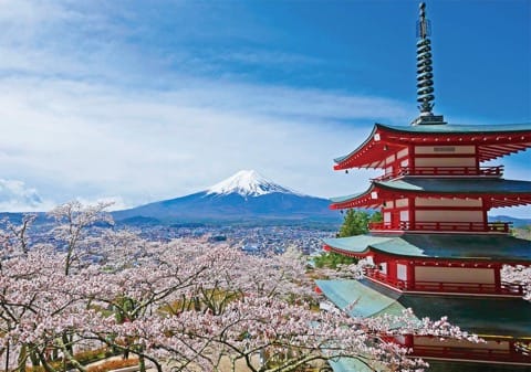 忠霊塔 富士山 桜