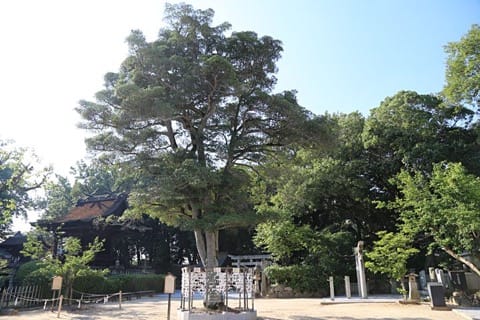 阿智神社