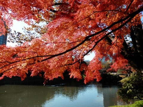小石川後楽園