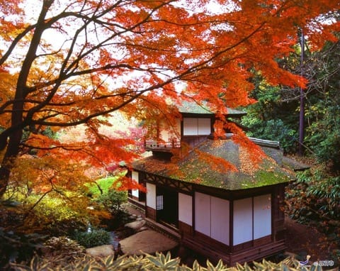 三渓園