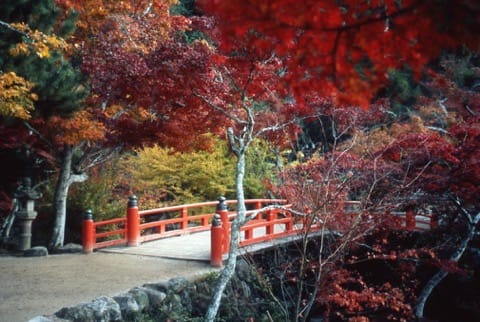 紅葉谷公園