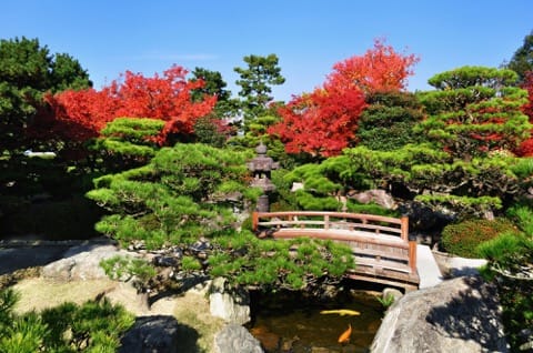 舞鶴公園